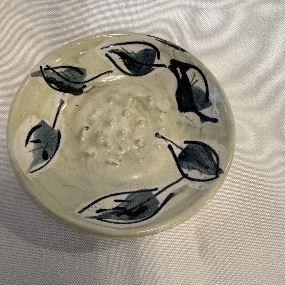 CP Ceramica Spain Garlic Ginger Grater Shredder Rasper Plate Ceramic HandPainted